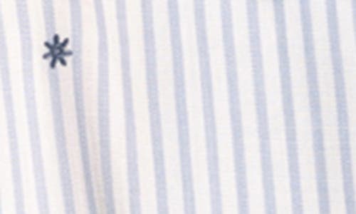 Thread & Supply Bae Stripe Embroidered Button-up Shirt