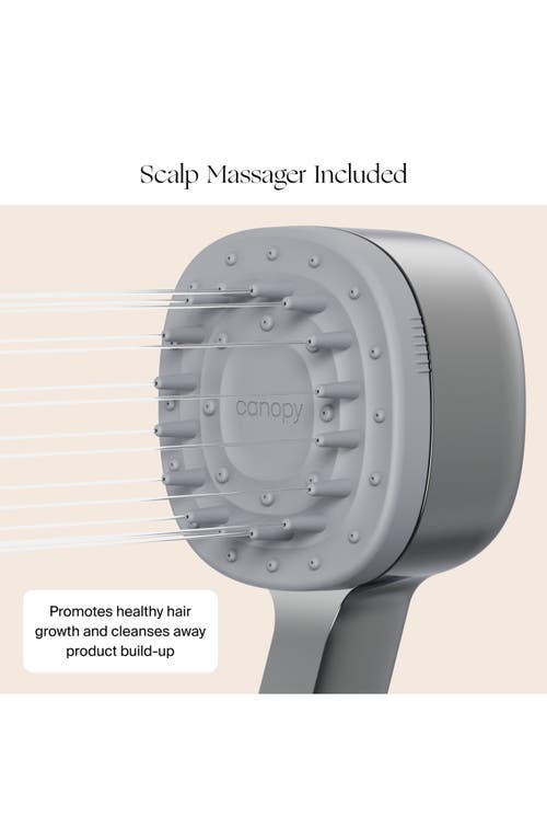Canopy Filtered Handheld Showerhead In Silver
