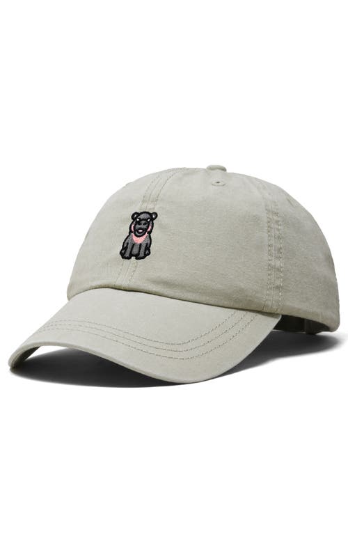 Dalix Hippo Embroidered Adjustable Hat In Washed Stone White