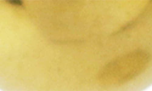 Rebl Gender Inclusive Dina Drop Earrings In Gold