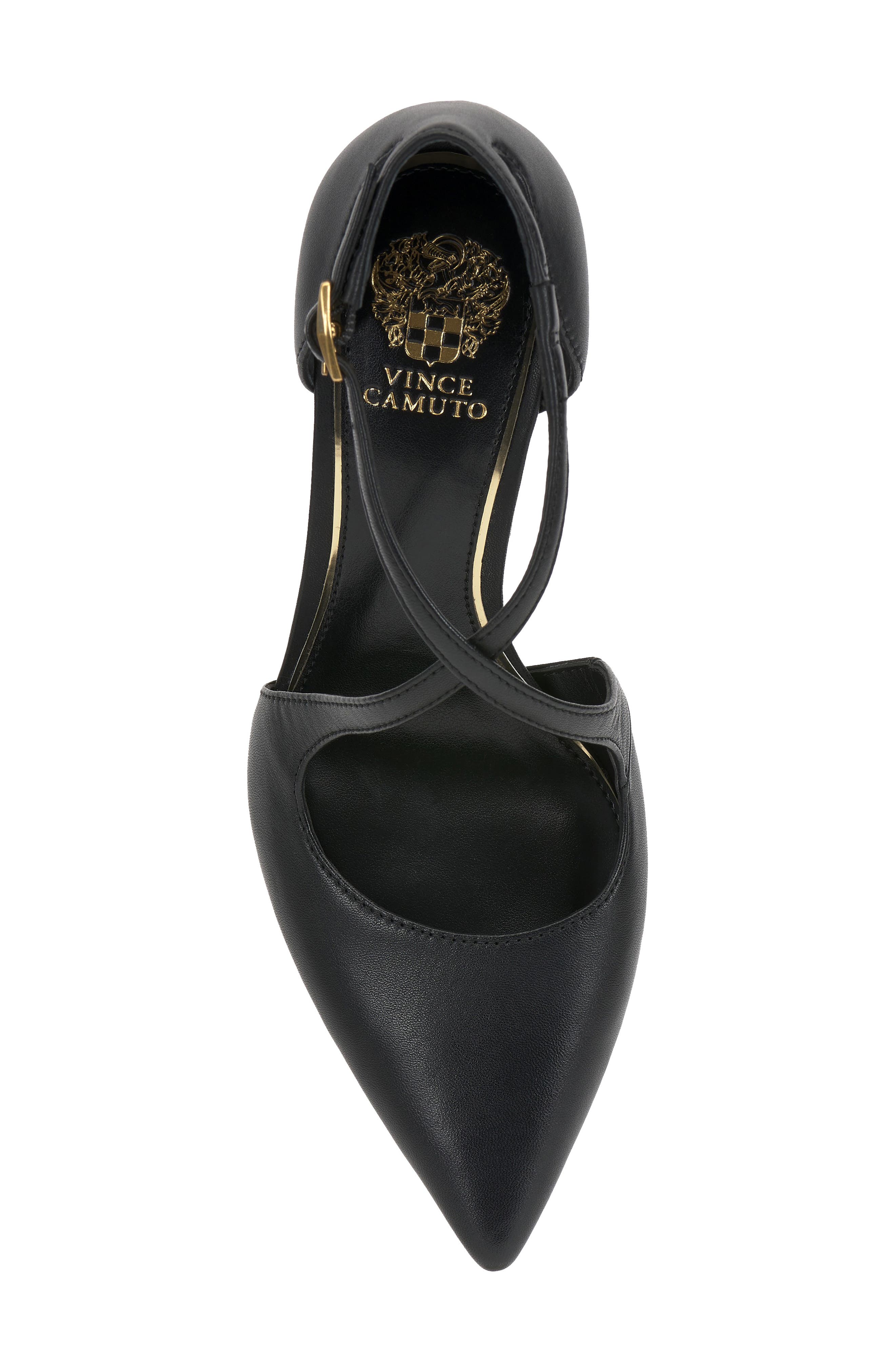 Vince Camuto Noreta Ankle Strap Pointed Toe Pump, Alternate, color, Black Ecoshe