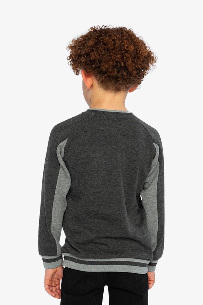 Ribbed Crew Neck Brushed Interior Sweatshirt, Alternate, color, Grey