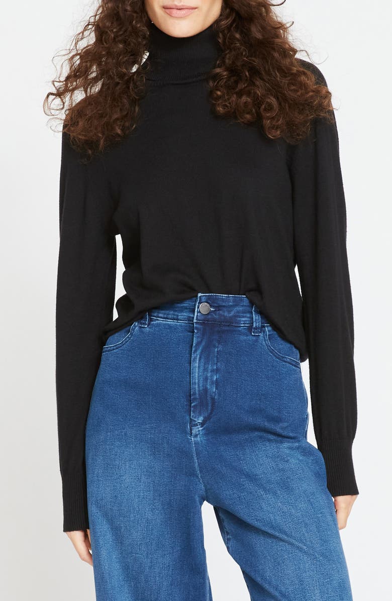 Universal Standard Renee Raglan Sleeve Turtleneck Sweater, Main, color, 