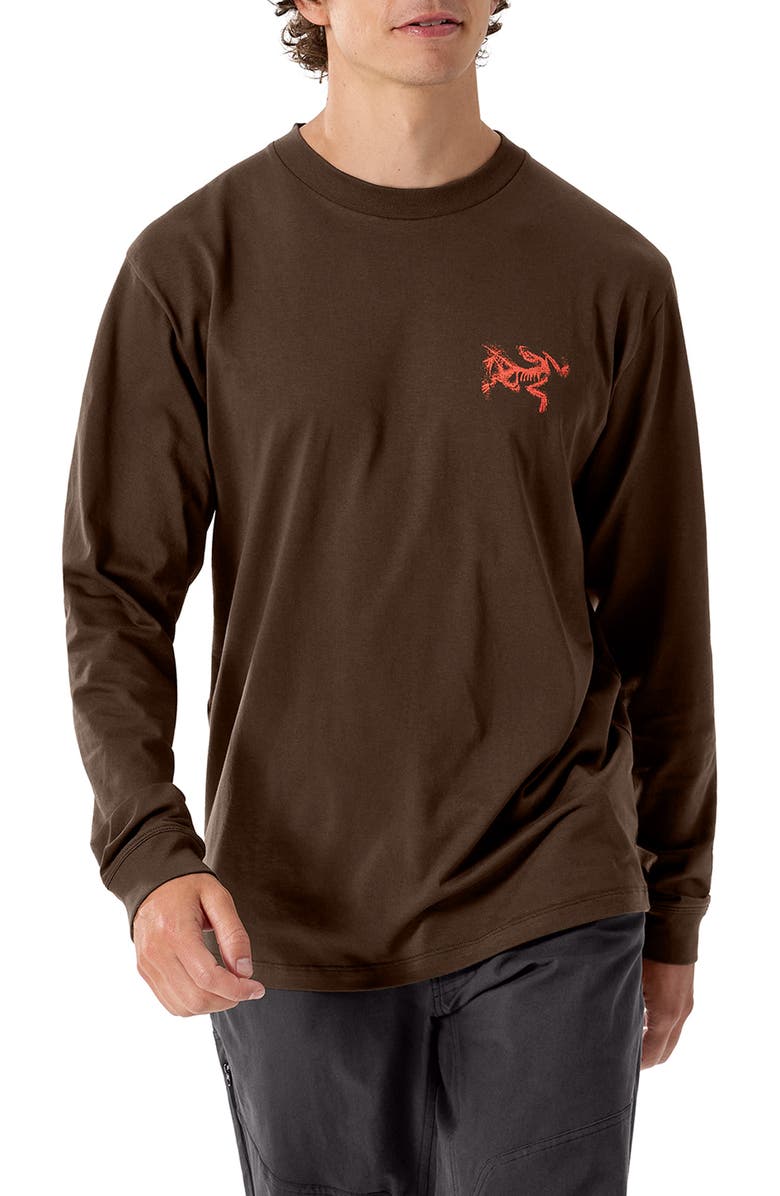 Arc'teryx Kragg Long Sleeve Cotton Graphic T-Shirt, Main, color, Carob / Dynasty