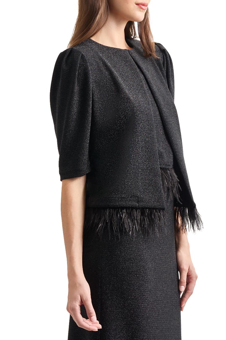 Sparkle Feather Trim Jacket, Alternate, color, BLACK