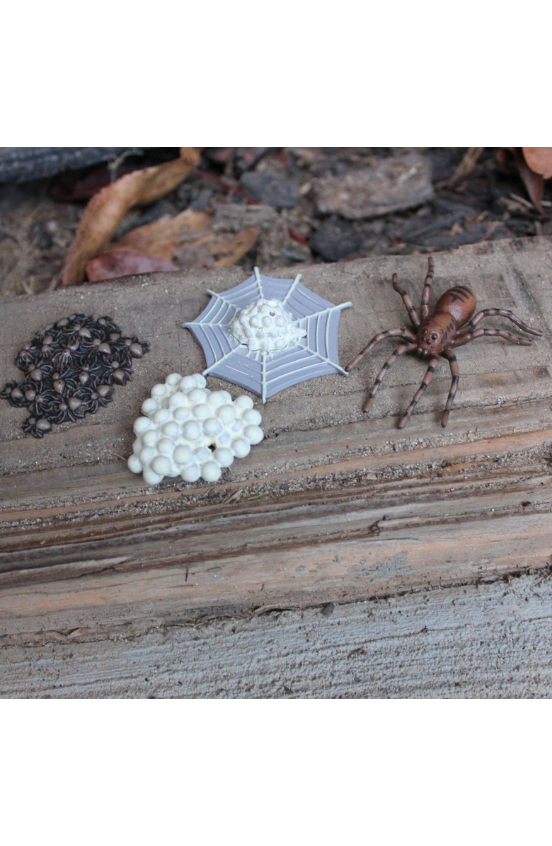 Safari Ltd. Life Cycle Of A Spider, Alternate, color, NO COLOR