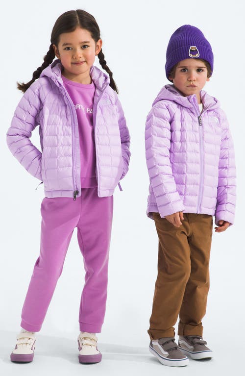 The North Face Kids' Thermoball Eco Hooded Jacket In Purple