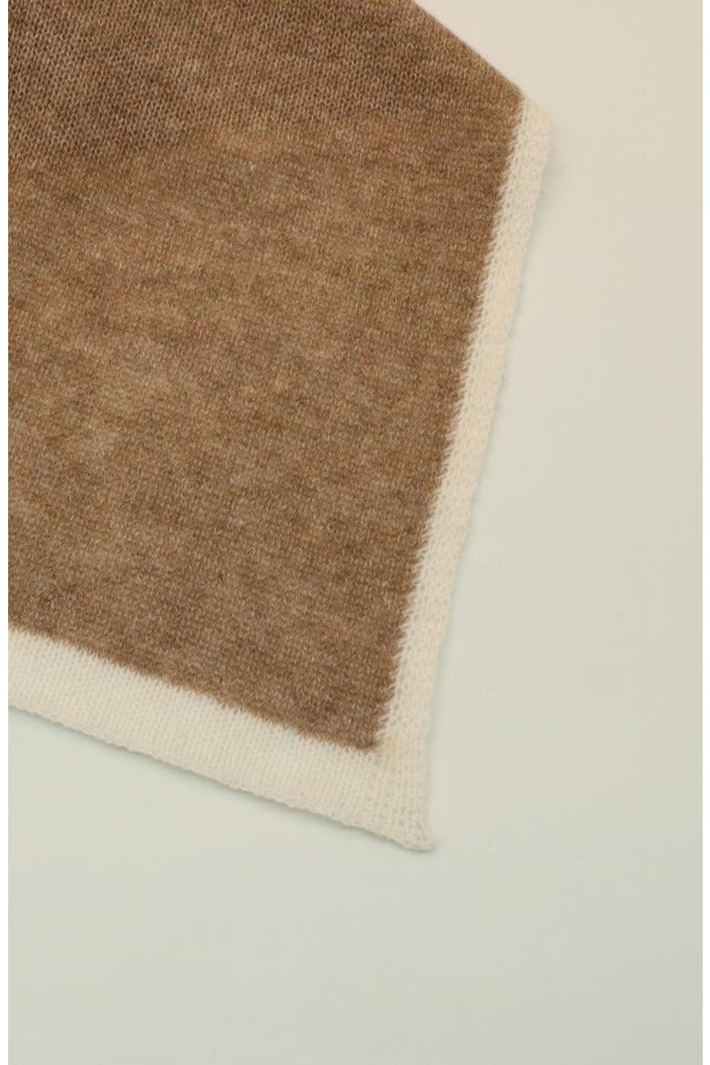 Cashmere Cowl Neck Poncho, Alternate, color, NILE BROWN/ WHITE