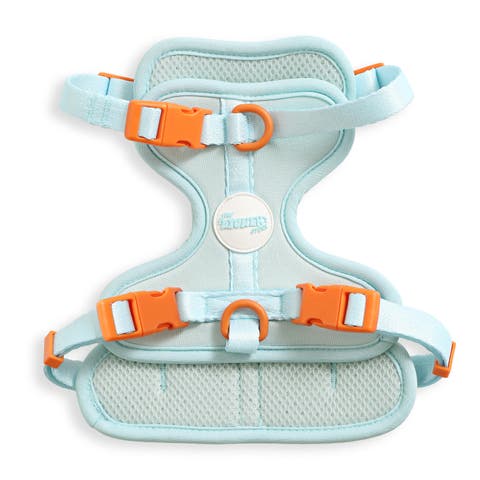 Arlo Adjustable Soft Padded No Pull Pet Harness with 3 Buckles and 3 Leash Clips