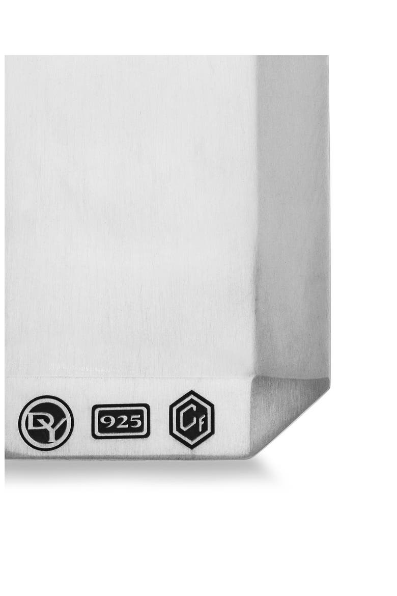 Forged Carbon Tag, Alternate, color, SILVER
