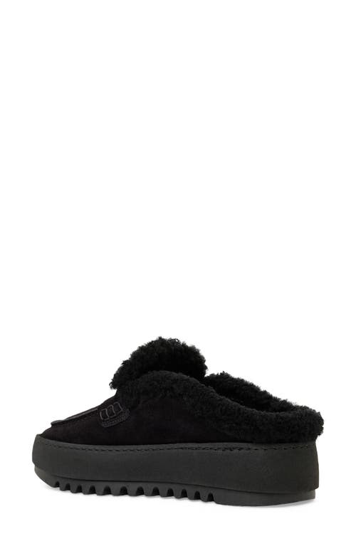 Aquatalia Amata Genuine Shearling Lined Mule In Black