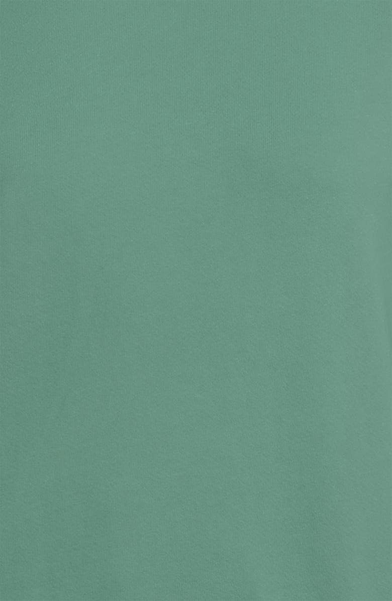 The Standard Stitch The Organic Cotton Raglan Sweatshirt, Alternate, color, Aloe