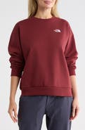 The North Face Evolution Simple Dome Oversized Sweatshirt