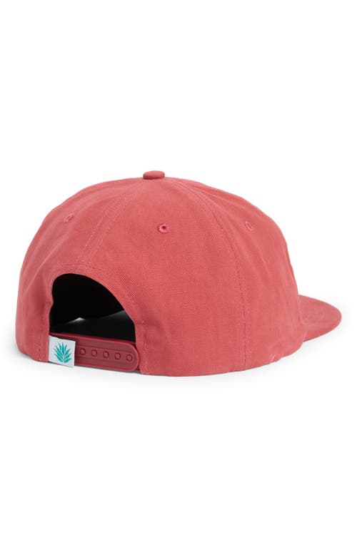 Sendero Provisions Co. So Bueno Baseball Cap In Brown