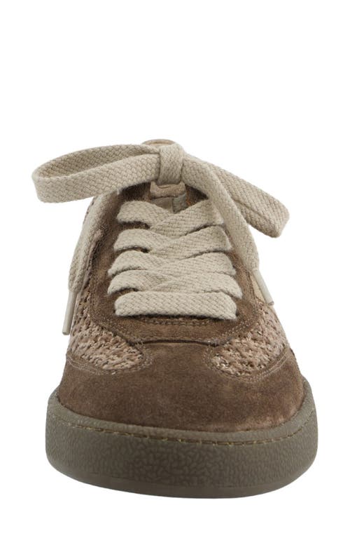 Paul Green Cruz Sneaker In Brown