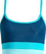 Beach Riot Eva Colorblock Bikini Top