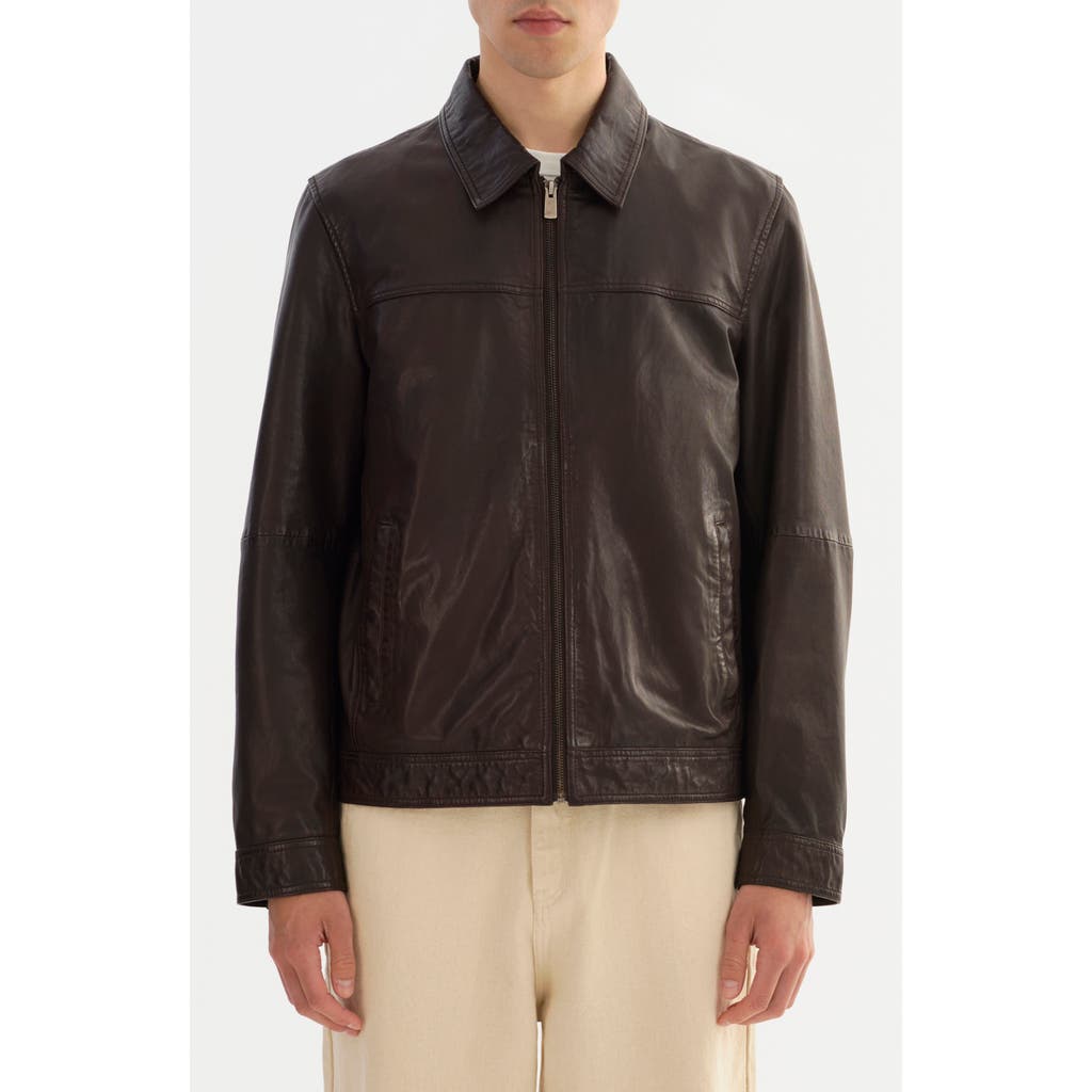 Regency Leather Jacket In Brown
