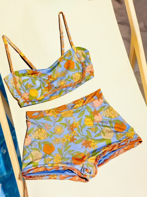 Kitty And Vibe Bandeau With Piping Bikini Top In Aurelia