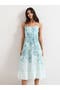 selected Pale Blue