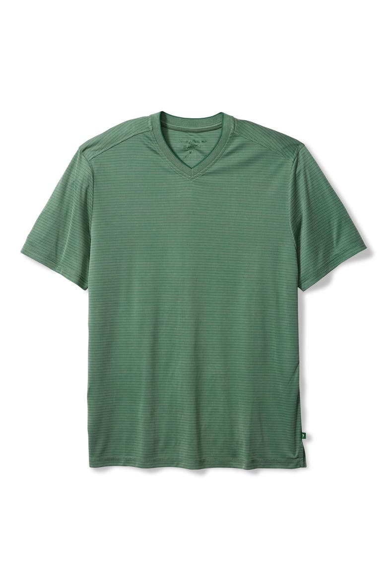Bay Stripe IslandZone® V-Neck Performance T-Shirt, Main, color, SPRUCE FROST