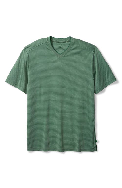Tommy Bahama Bay Stripe Islandzone® V-neck Performance T-shirt