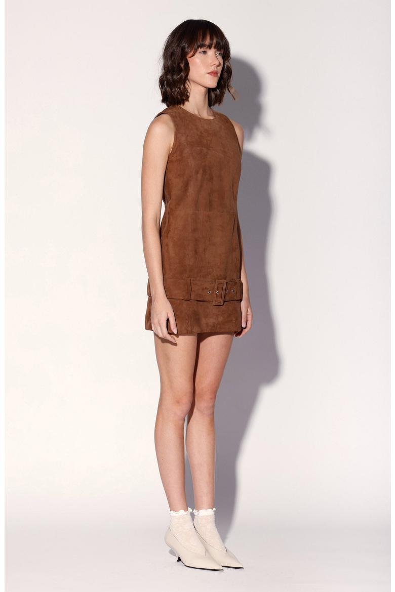 Vanna Dress, Alternate, color, Chestnut Suede