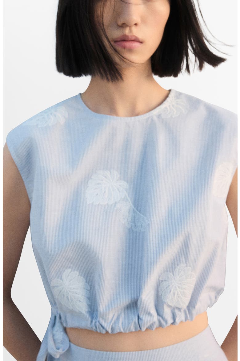 Embroidered Crop Top, Main, color, BLUE