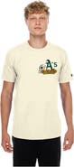 New Era Men's New Era Natural Athletics Dia de los Muertos Sugar Skull T-Shirt