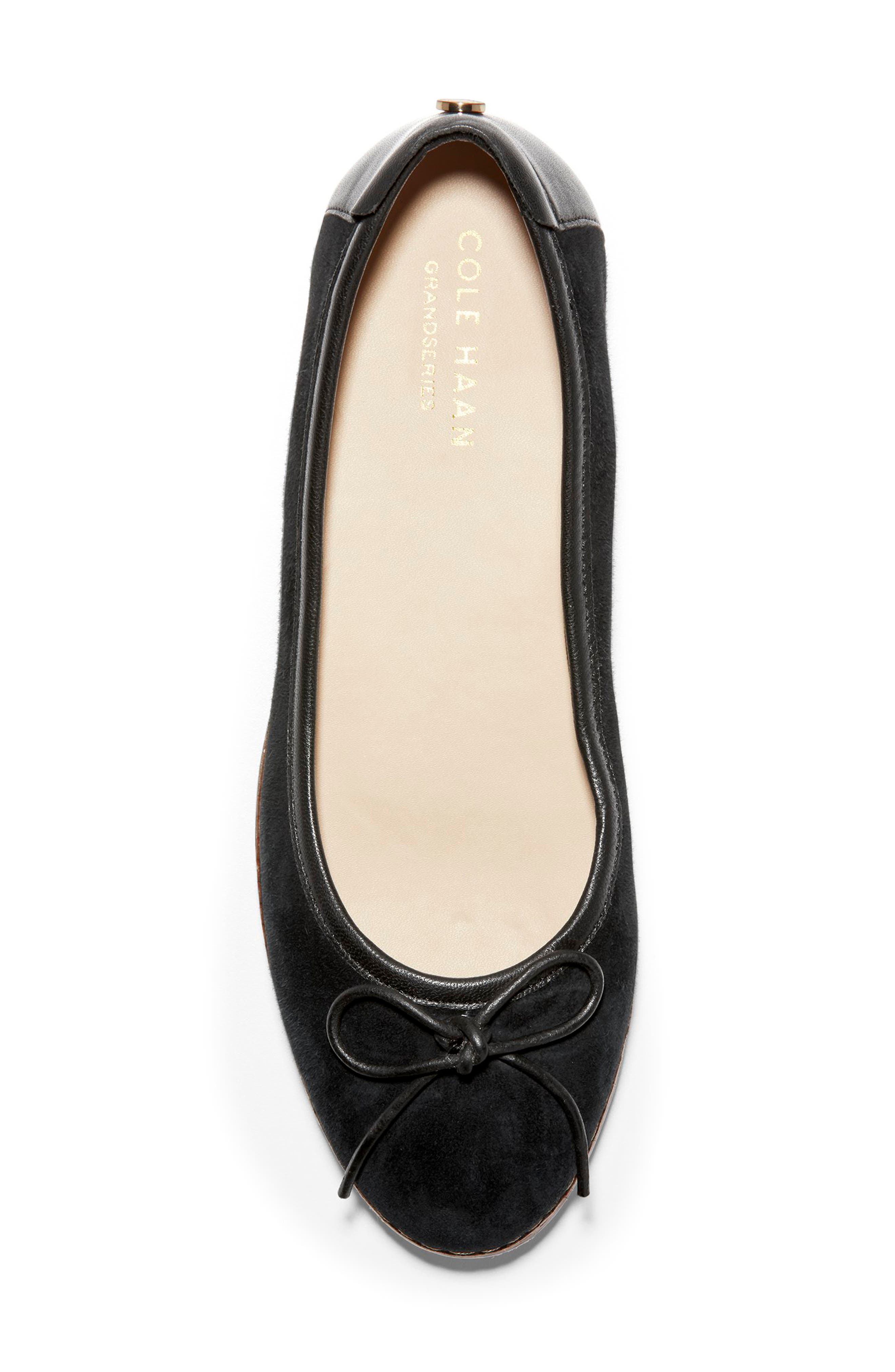 Cole Haan Cloudfeel All Day Ballet Flat, Alternate, color, 