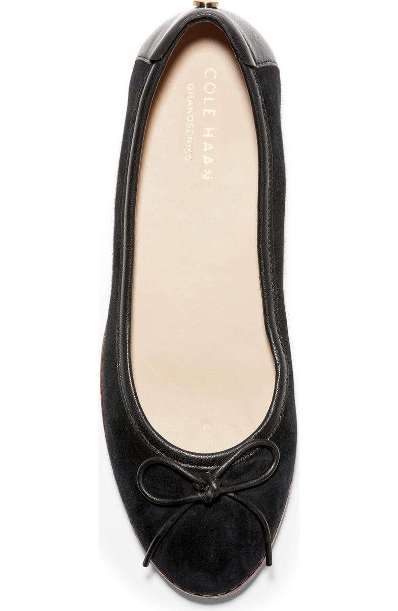 Cole Haan Cloudfeel All Day Ballet Flat, Alternate, color,