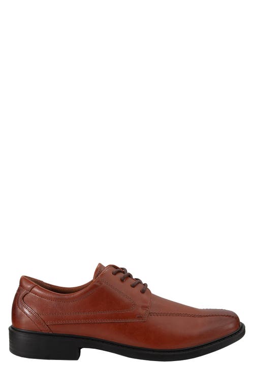 Deer Stags Easton Supro Derby In Brown