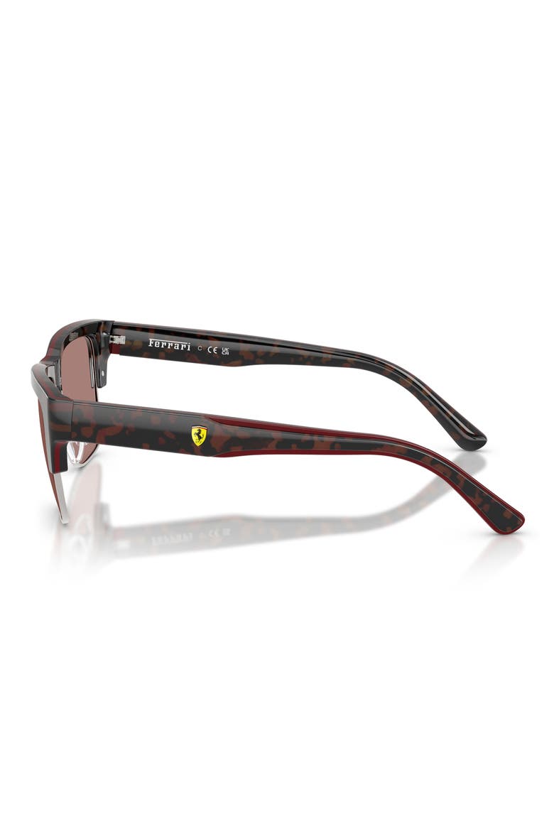 55mm Square Sunglasses, Alternate, color, HAVANA BURGUNDY / BROWN