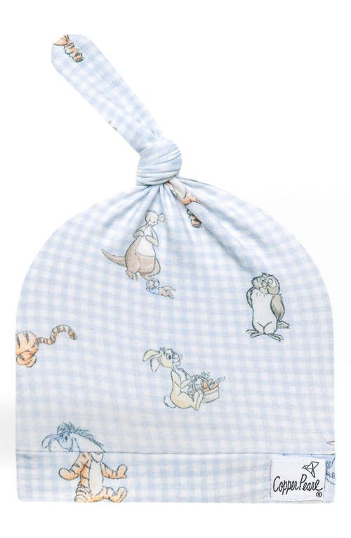 Copper Pearl 'winnie The Pooh & Friends' Knotted Hat In Blue