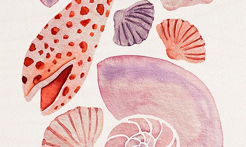 Deny Designs Watercolor Seashells Cutting Board In Orange