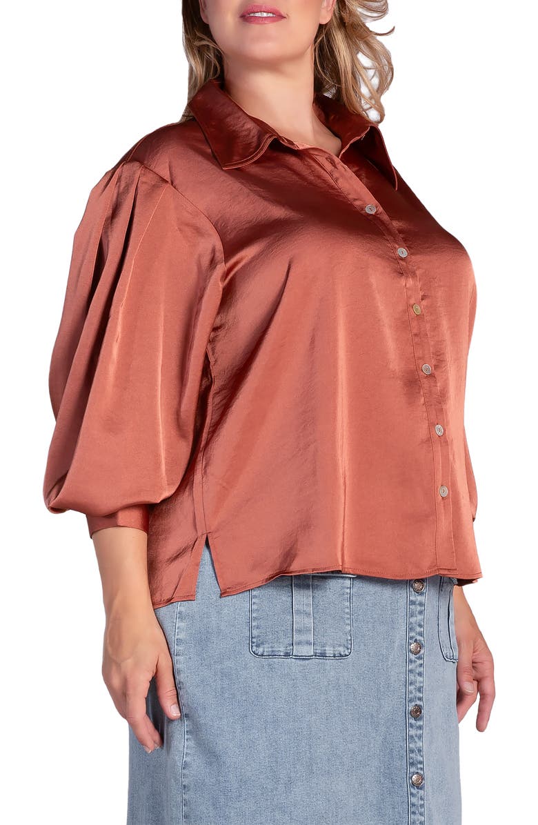 Standards & Practices Zeal Sateen Button-Up Blouse, Alternate, color, Rust