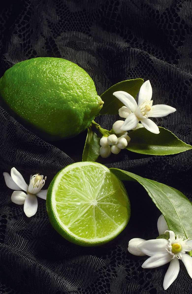 Dolce&Gabbana Sicily Re-Edition Eau de Parfum, Alternate, color, 