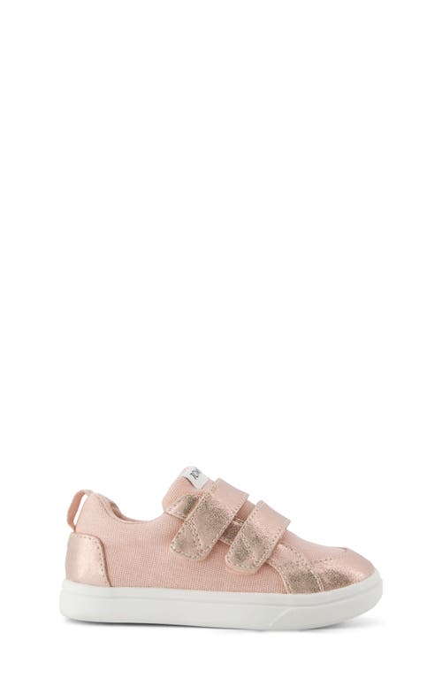 Toms Kids' Cruz Sneaker In Pink