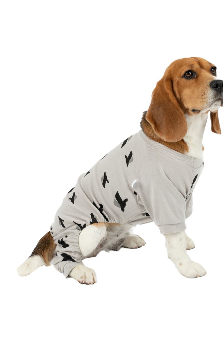 Leveret Dog Cotton Matching Family Pajamas, Animals & Paw Prints, Main, color, Bird Gray