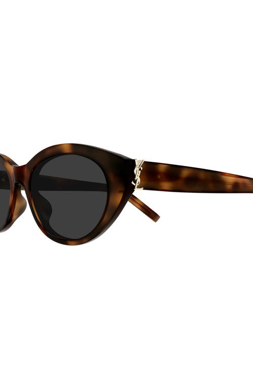 Saint Laurent Sl M148 Recycled Acetate Round Sunglasses In Havana