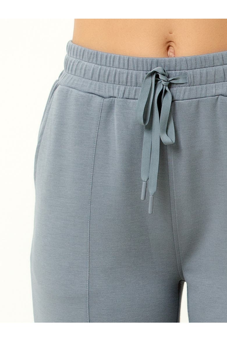 Ultra Soft Wide Leg Pant, Alternate, color, Slate Blue