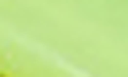 Chunks Comb Headband In Green