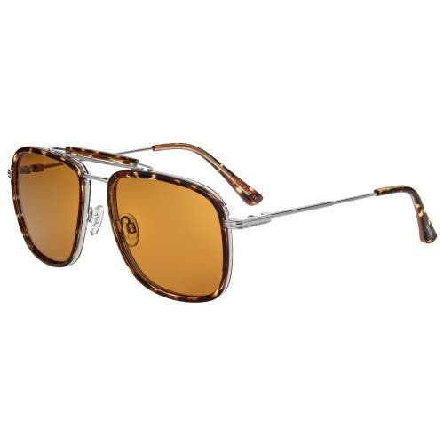 BREED Flyer Polarized Sunglasses in Tortoise/brown 