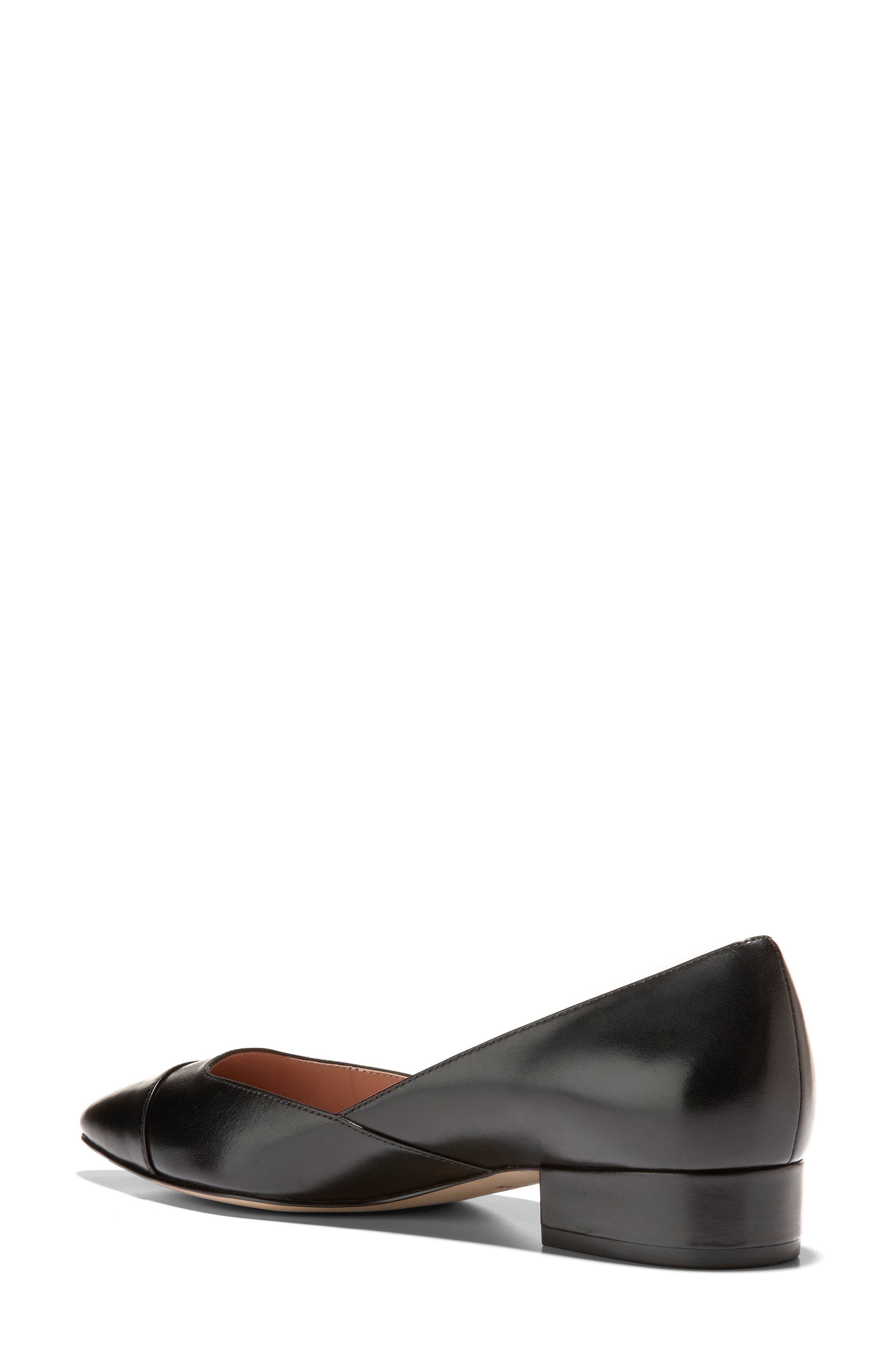 Cole Haan Vanessa Pointed Toe Skimmer, Alternate, color, 