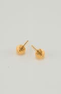 Gwen Beloti Striped Ball stud earring
