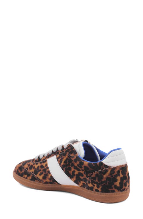 Shushop Sydney Sneaker In Multi