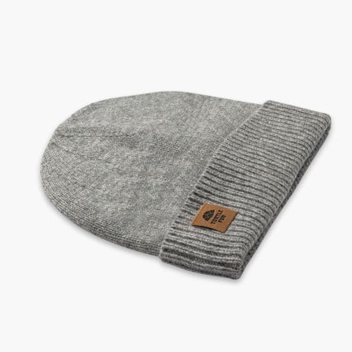 Turtle Fur Thatcher Beanie In Gray