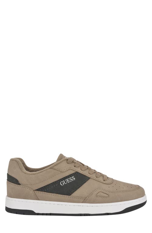 Guess Tolyo Sneaker In Taupe/dark Grey