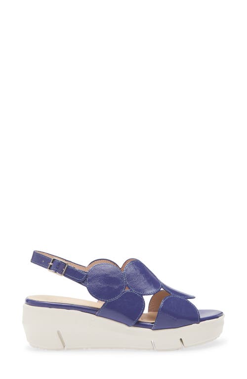 Wonders Platform Sandal In Lack Dusk