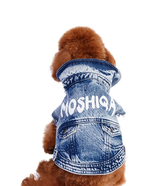 Denim Dog