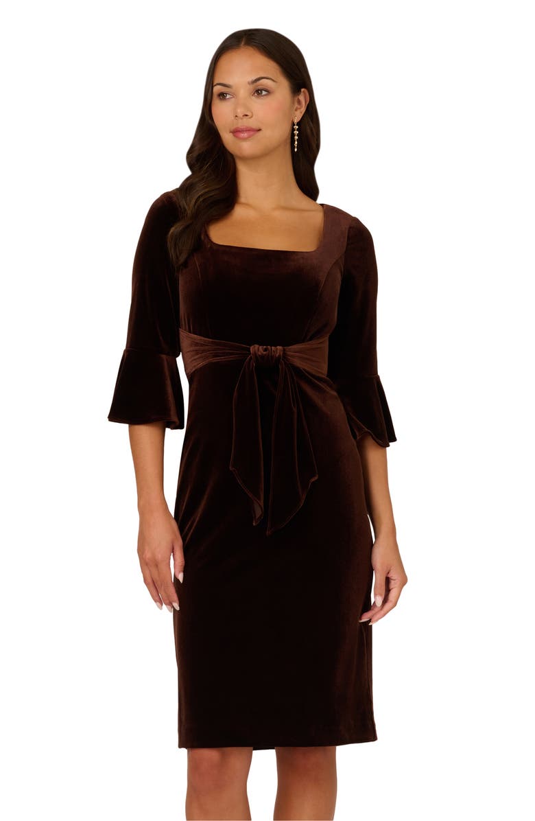 Adrianna Papell Tie Waist Elbow Sleeve Stretch Velvet Dress, Alternate, color,